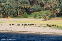 25 River Nile